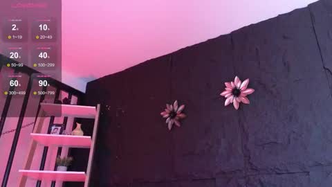 Snapshot of paulo527 chatting on 01/12/26, 08:47 Paulo online show from 01/12/26, 08:47