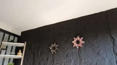 Snapshot of paulo527 chatting on 01/17/26, 09:18 Paulo online show from 01/17/26, 09:18