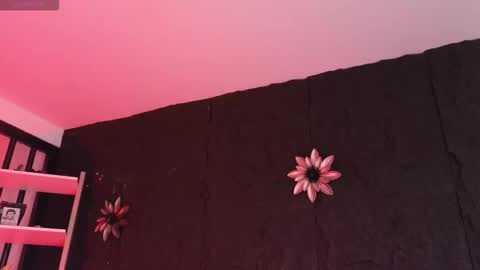 Snapshot of paulo527 chatting on 02/05/26, 09:08 Paulo online show from 02/05/26, 09:08