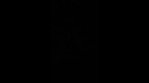 paulobascet online show from 12/02/24, 01:36