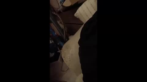 paulobascet online show from 01/12/25, 03:28