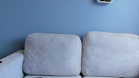 Snapshot of paulphoenix_ chatting on 01/02/25, 06:12 Paul Phoenix online show from 01/02/25, 06:12