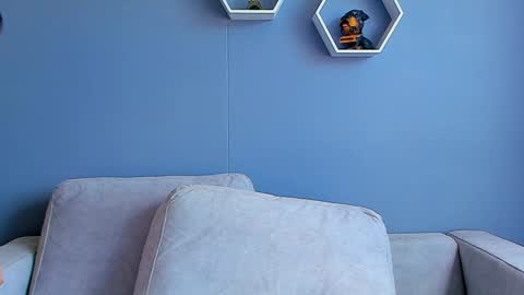 Snapshot of paulphoenix_ chatting on 01/13/25, 08:15 Paul Phoenix online show from 01/13/25, 08:15