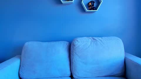 Snapshot of paulphoenix_ chatting on 10/05/25, 08:07 Paul Phoenix online show from 10/05/25, 08:07