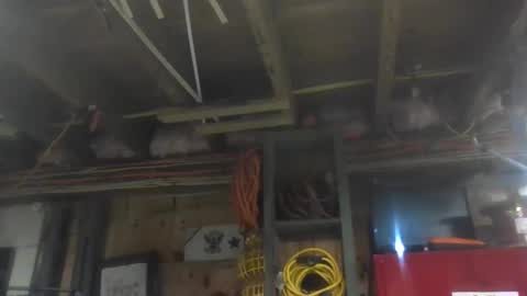 Snapshot of paulstetson chatting on 12/20/24, 10:43 paulstetson online show from 12/20/24, 10:43