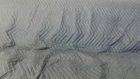 paupam online show from 01/26/25, 07:31