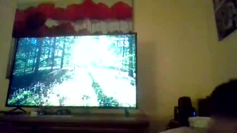 pavi962731455 online show from 05/25/26, 05:35