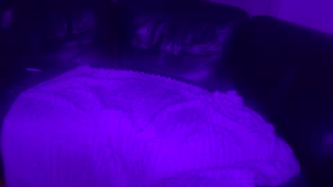 Snapshot of paybarbi chatting on 11/16/25, 07:14 paybarbi online show from 11/16/25, 07:14