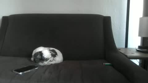 paybarbi online show from 05/04/26, 05:53