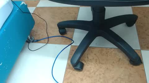 Payton online show from 12/04/24, 09:29