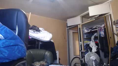 pc8474408 online show from 03/01/26, 05:04