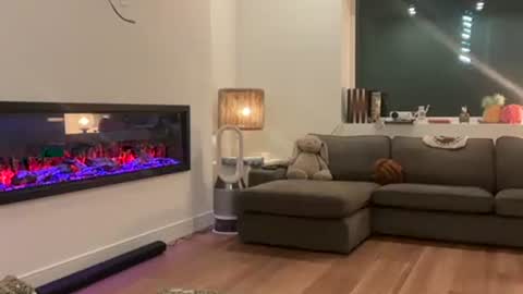 Snapshot of peacheekitty chatting on 04/01/26, 04:46 Effyyyyy online show from 04/01/26, 04:46