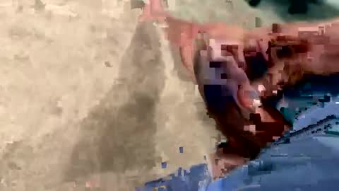 peakingondaddy online show from 10/15/25, 11:21