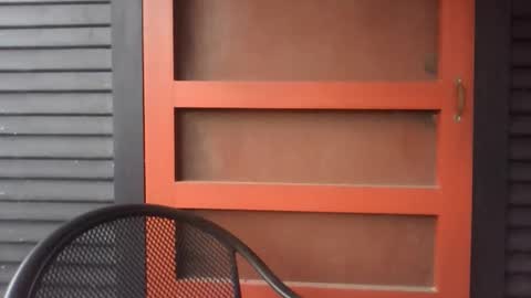 Snapshot of pecos8686 chatting on 11/29/25, 02:42 pecos8686 online show from 11/29/25, 02:42