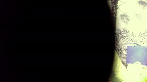 PedrOO OO online show from 12/03/24, 08:49