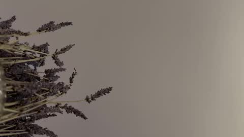 Snapshot of pegasus766152 chatting on 02/02/26, 01:48 pegasus766152 online show from 02/02/26, 01:48