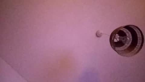 Snapshot of penesvoladores92 chatting on 02/28/26, 01:39 penesvoladores92 online show from 02/28/26, 01:39