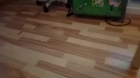 pepe_hard online show from 03/02/26, 06:58