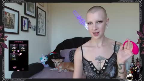 Snapshot of pepper_dagger chatting on 09/20/25, 10:00 Pepper Dagger online show from 09/20/25, 10:00