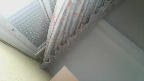 Snapshot of perales_12345 chatting on 12/20/25, 11:17 perales_12345 online show from 12/20/25, 11:17