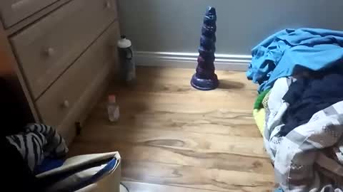 Snapshot of perdz768563 chatting on 03/22/26, 11:30 perdz768563 online show from 03/22/26, 11:30