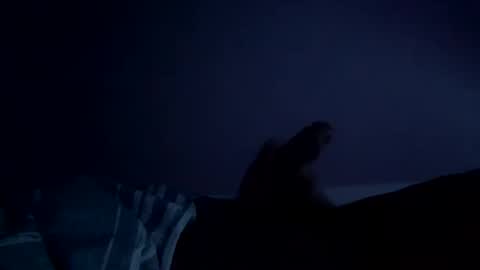 perfect427482577143 online show from 02/26/26, 08:24