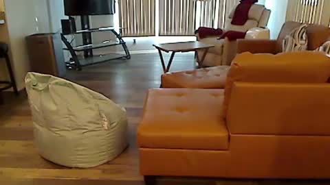 perfecto1957 online show from 12/07/24, 07:10