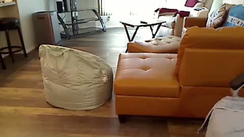 perfecto1957 online show from 03/04/25, 02:21