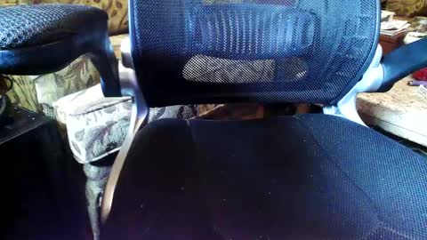 perfecto337 online show from 09/11/25, 09:04