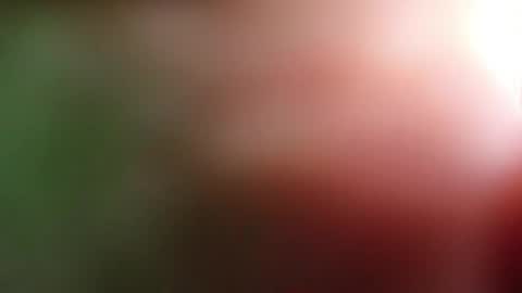 Snapshot of perla_lovely chatting on 05/01/26, 12:54 perla_lovely online show from 05/01/26, 12:54