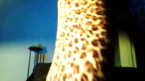 Snapshot of permageil_nackt_alt chatting on 02/26/26, 06:51 permageil_nackt_alt online show from 02/26/26, 06:51