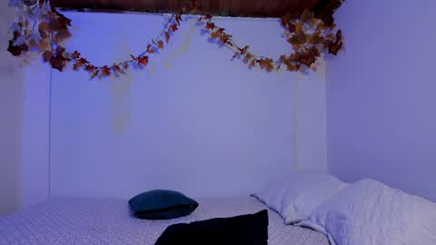 Rose online show from 12/04/24, 10:08