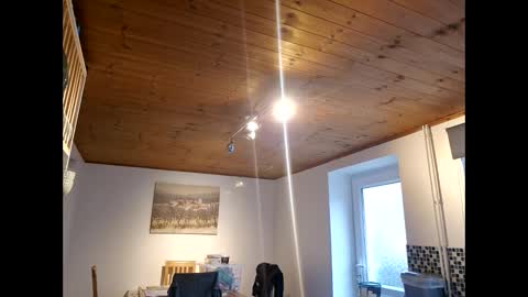 Snapshot of pete_le_meat chatting on 03/12/26, 12:22 pete_le_meat online show from 03/12/26, 12:22