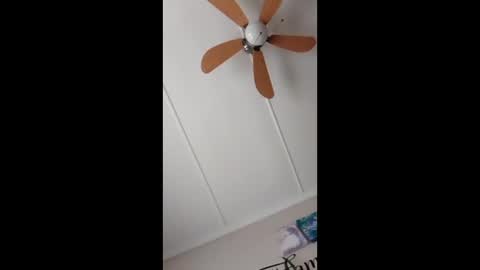 peter online show from 02/15/26, 08:13