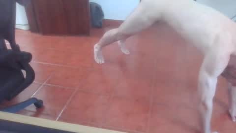 peter_coat online show from 07/01/26, 12:40