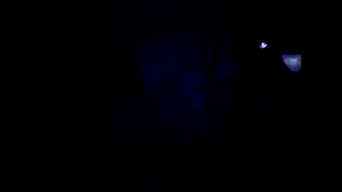 peterson1978 online show from 06/04/26, 02:06