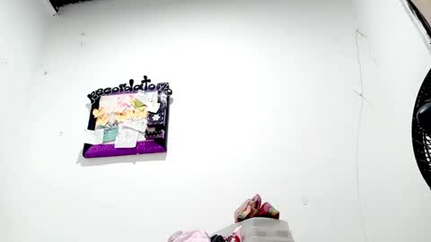 danna online show from 11/17/25, 03:56