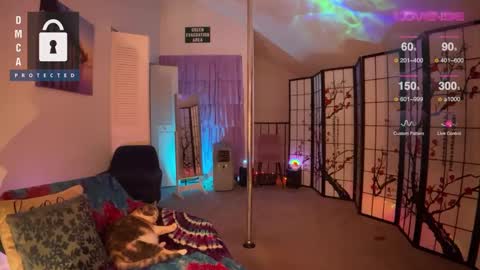 Snapshot of petitejewel chatting on 12/27/24, 09:17 Jules online show from 12/27/24, 09:17