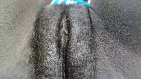 petiteme1 online show from 01/18/25, 02:03