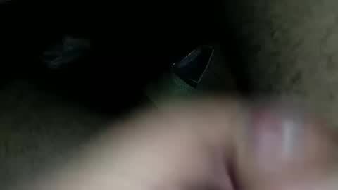 petrli online show from 02/01/25, 05:37