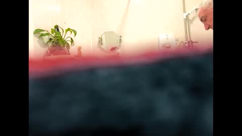 Snapshot of petrol63102 chatting on 02/19/26, 09:38 petrol63102 online show from 02/19/26, 09:38