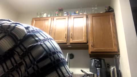 Snapshot of phildoesart chatting on 02/03/25, 01:19 Phil online show from 02/03/25, 01:19