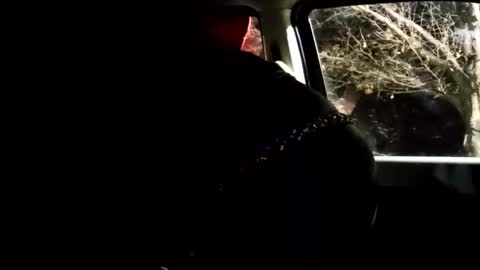 Snapshot of phillipdee chatting on 02/01/26, 10:03 phillipdee online show from 02/01/26, 10:03