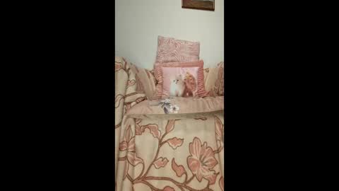 Snapshot of philos1979 chatting on 01/19/26, 01:31 philos1979 online show from 01/19/26, 01:31