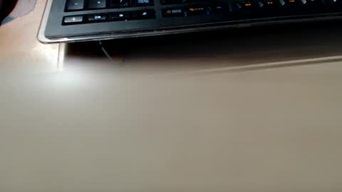 pier49x online show from 12/04/24, 03:15