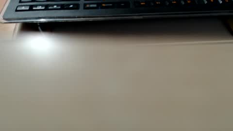 pier49x online show from 12/22/24, 04:48