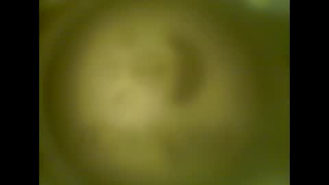 pierrecard1 online show from 10/13/25, 05:40