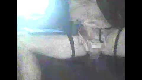 pigbear4trans online show from 01/03/25, 04:48