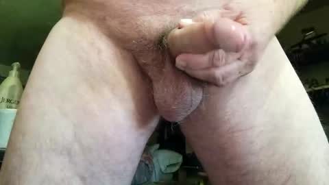 pigglywiggly9184100 online show from 11/13/25, 06:29