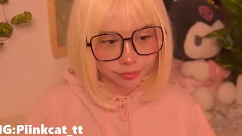 Snapshot of piinkcat chatting on 07/06/26, 05:48 Emi online show from 07/06/26, 05:48